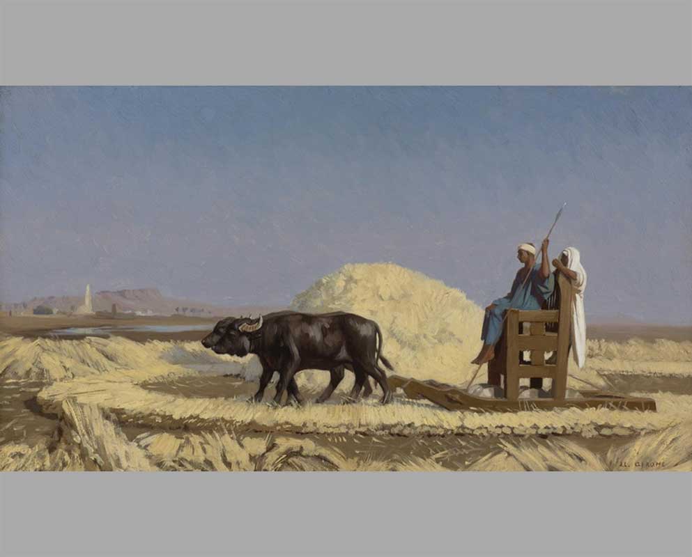 18 Египетские молотильщики зерна