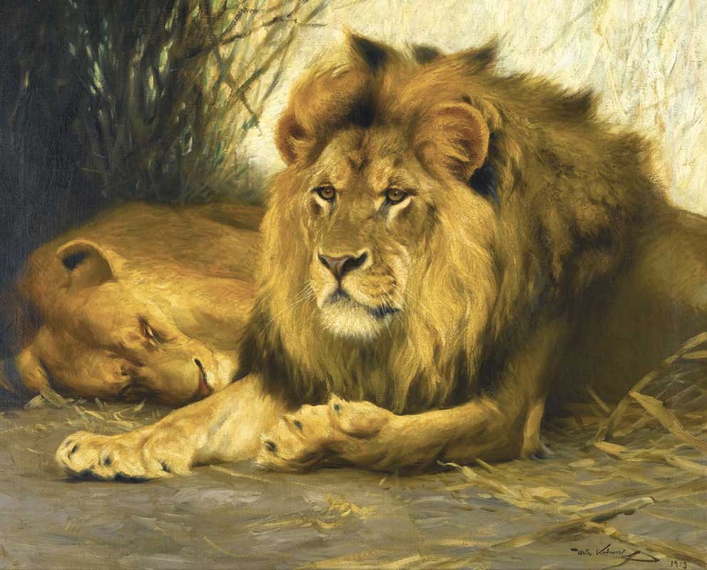 18 Отдыхающие львы