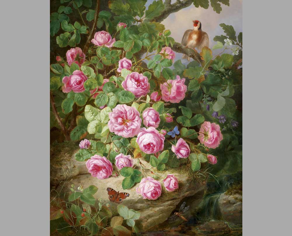 64 Йозеф Лауэр Натюрморт с розами, бабочками и птицей